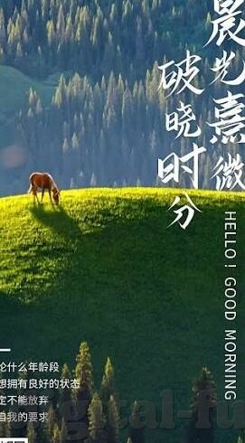 av日韩免费电影-解锁文化视角，日韩电影的魅力与免费观影的探讨