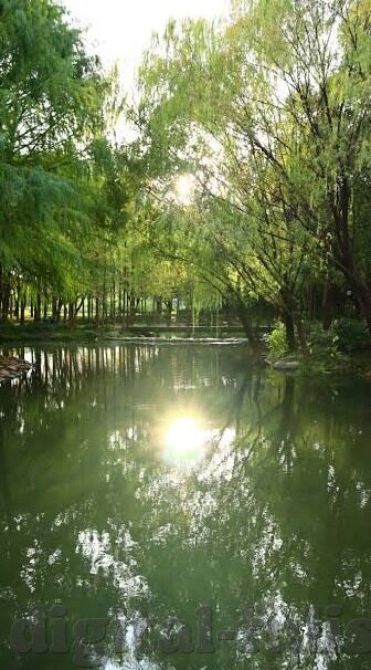 麻豆日记app官网下载-麻豆日记——记录生活，邂逅美好日常的数字化伴侣