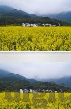 麻豆直播下载app下载-享用直播新世界——麻豆直播下载APP的探索之旅